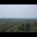 Der grüne Palmengürtel zwischen Meer und dem Hinterland Goas